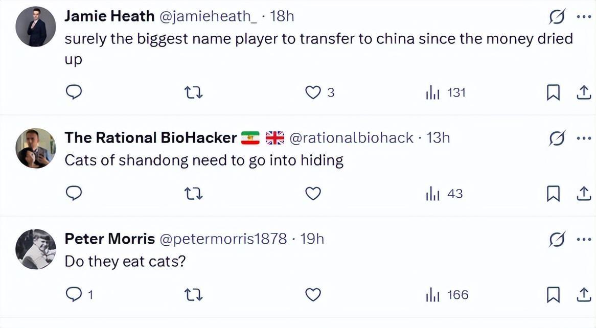 leyu-搞笑！山东泰山欲签虐猫后卫，遭国外网友嘲讽：山东的猫注意安全